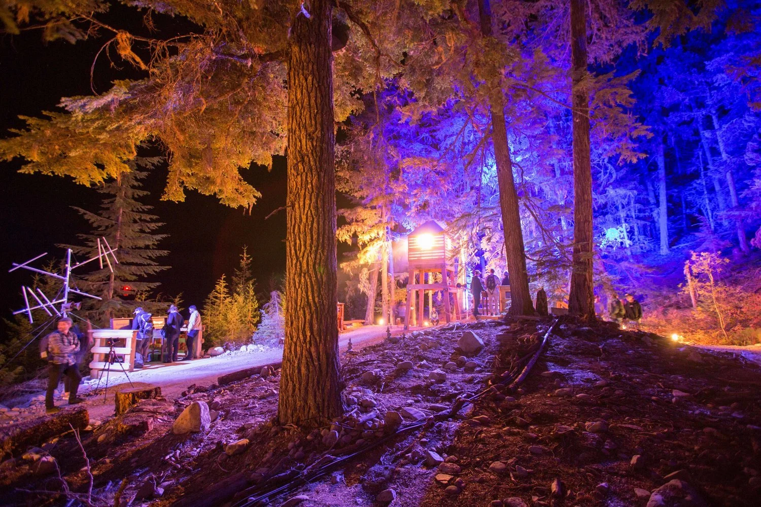 Illuminated forest pathway at Vallea Lumina night walk experience in Whistler