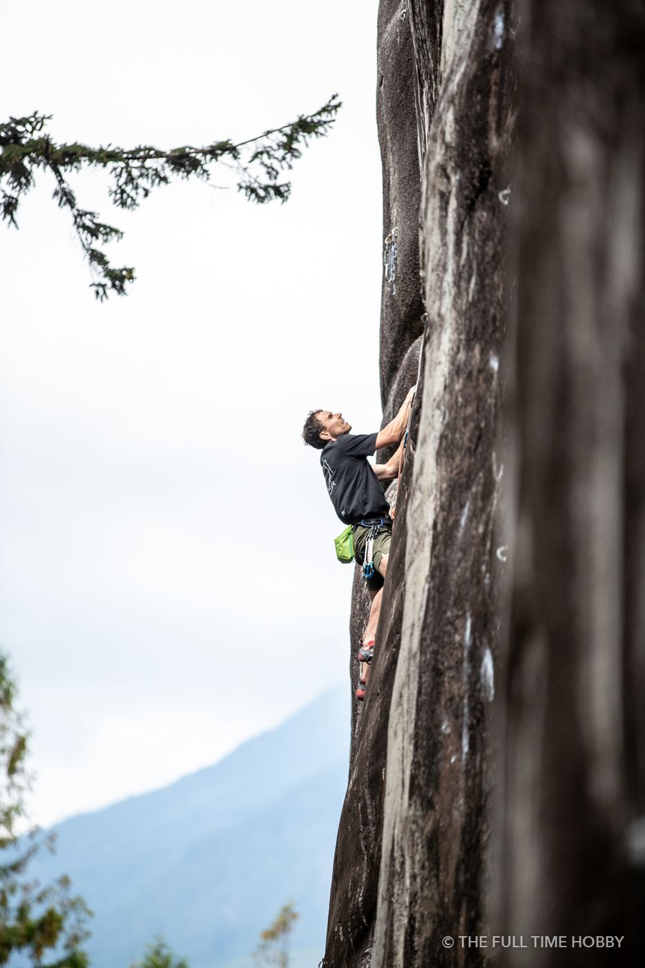 Climbing a Giant Tree, Squamish, BC