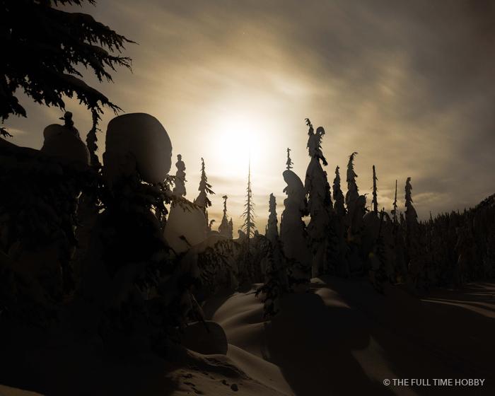 Forest Sunset Silhouette, Duffey Lake Provincial Park, BC