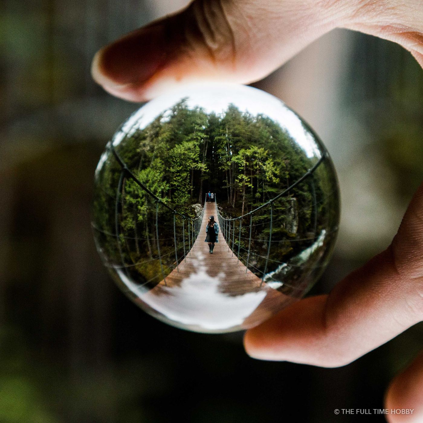 Lens Ball Suspension Bridge, Whistler Train Wreck suspension bridge, Whistler, BC