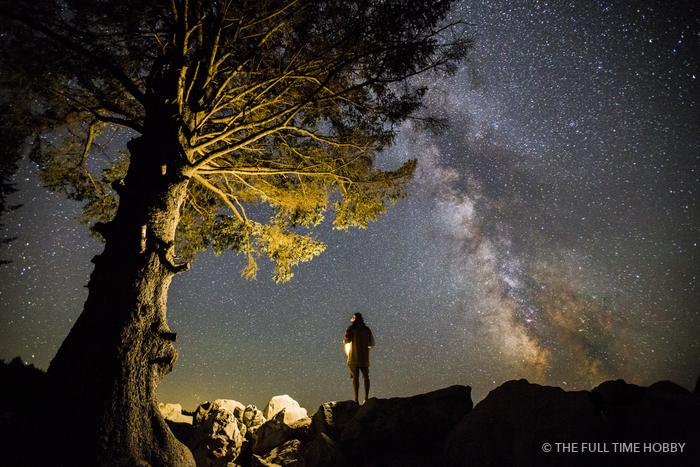 Milky Way, Hiker and Lone Tree, Oregon Coast, Oregon