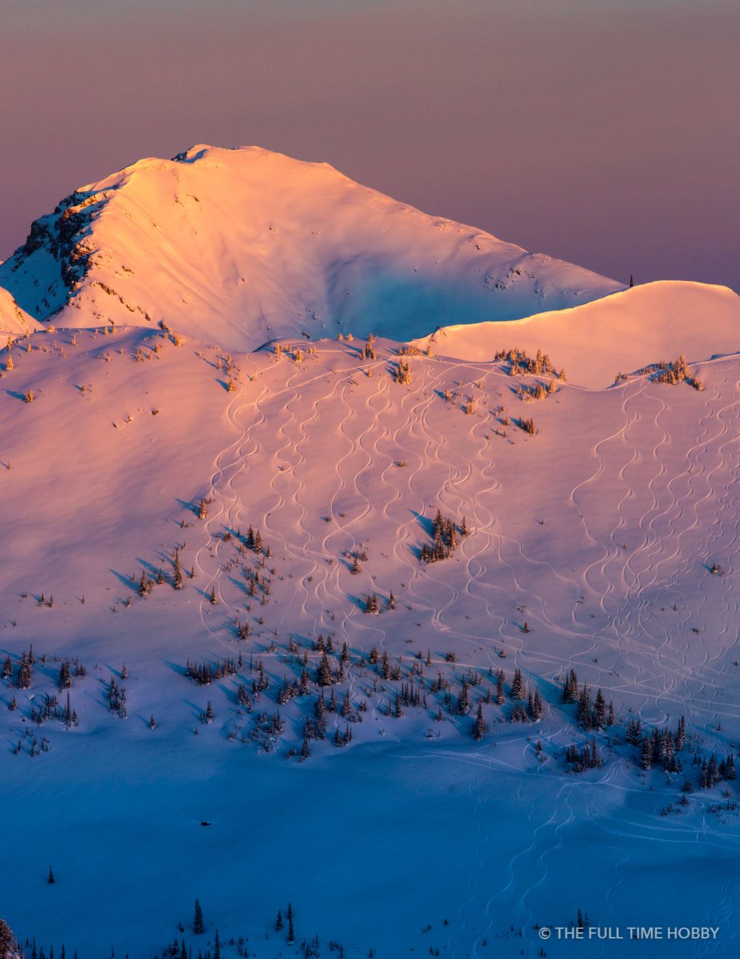 Pink Light on the Snowfield, Kicking Horse Mountain Resort, Golden, BC