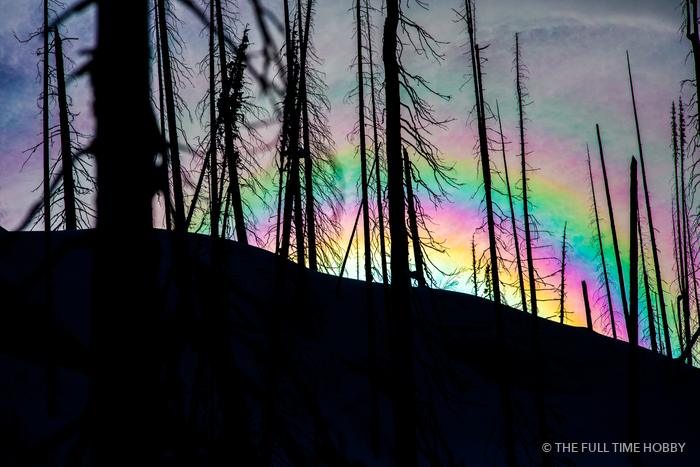 Rainbow Light Through a Burnt Forest, Revelstoke, BC