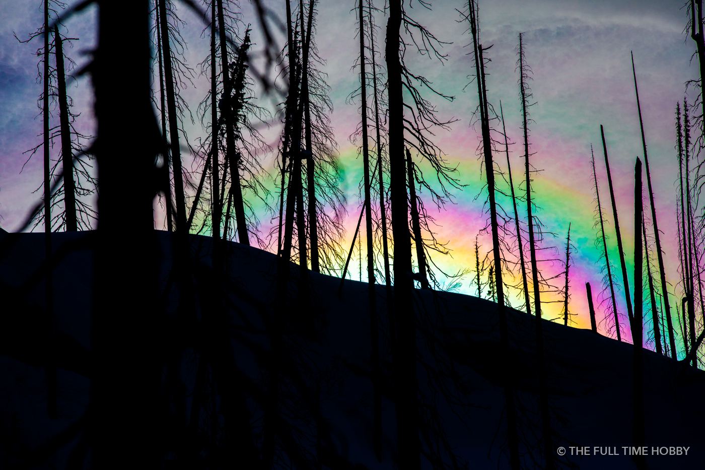 Rainbow Light Through a Burnt Forest, Revelstoke, BC