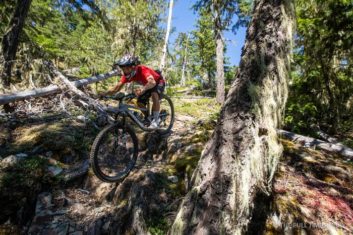 Rider Between Giant Trees, Whistler, Pemberton and Squamish, BC