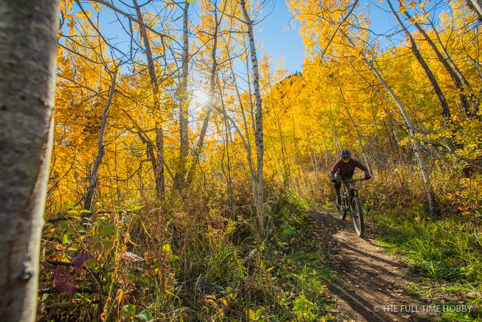 Riding Through Yellow Aspens, Williams Lake and Lillooet, BC