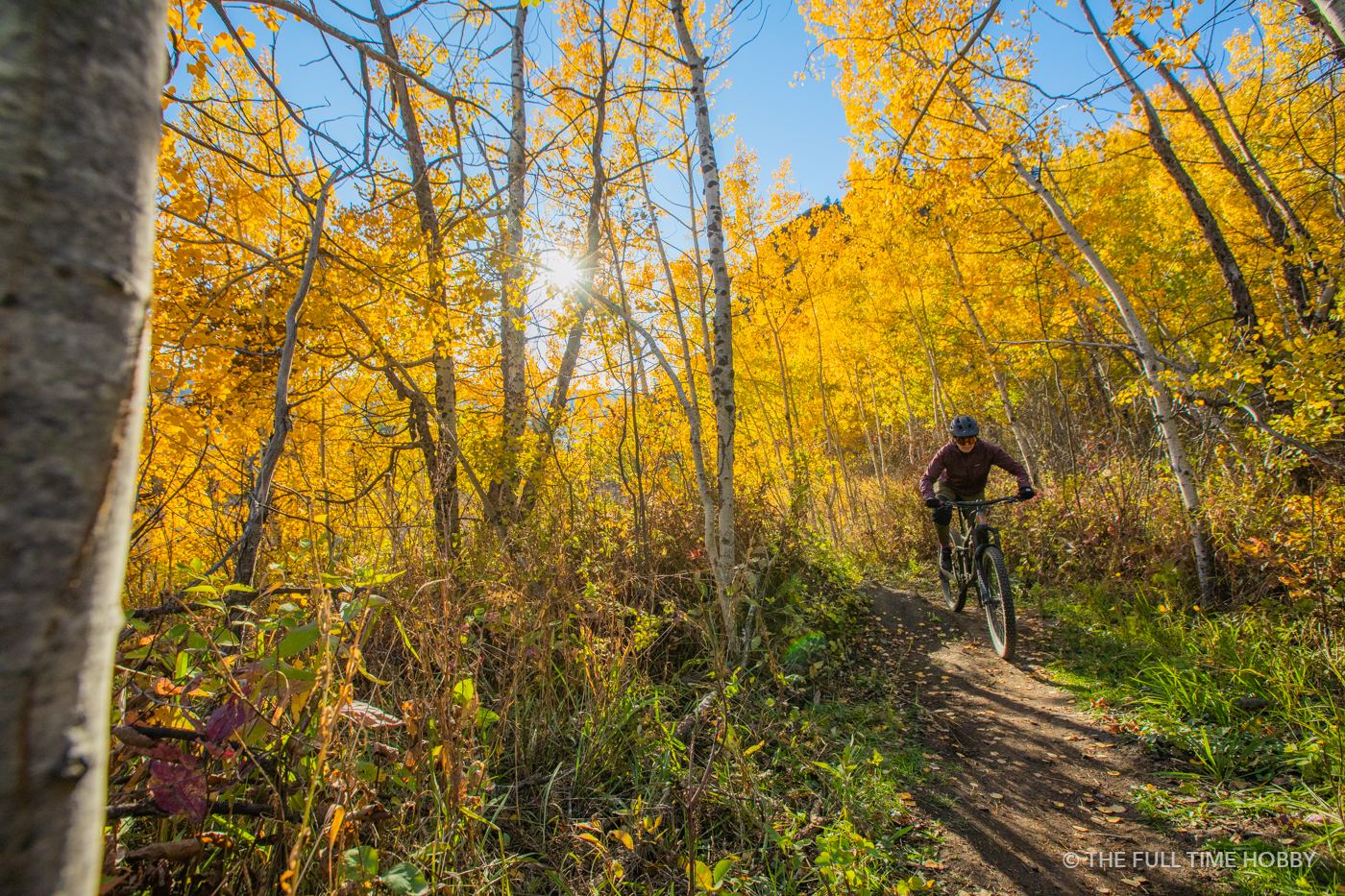 Riding Through Yellow Aspens, Williams Lake and Lillooet, BC