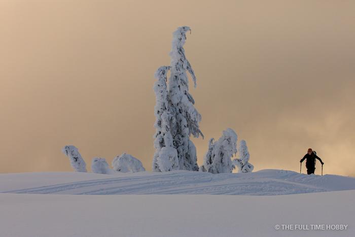 Rime Tree and Hiker, Whistler, BC