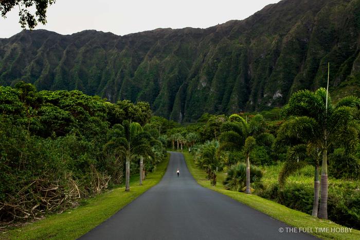 Road Into a Green Valley, Banzai Pipeline, North Shore, Oahu, Hawaii