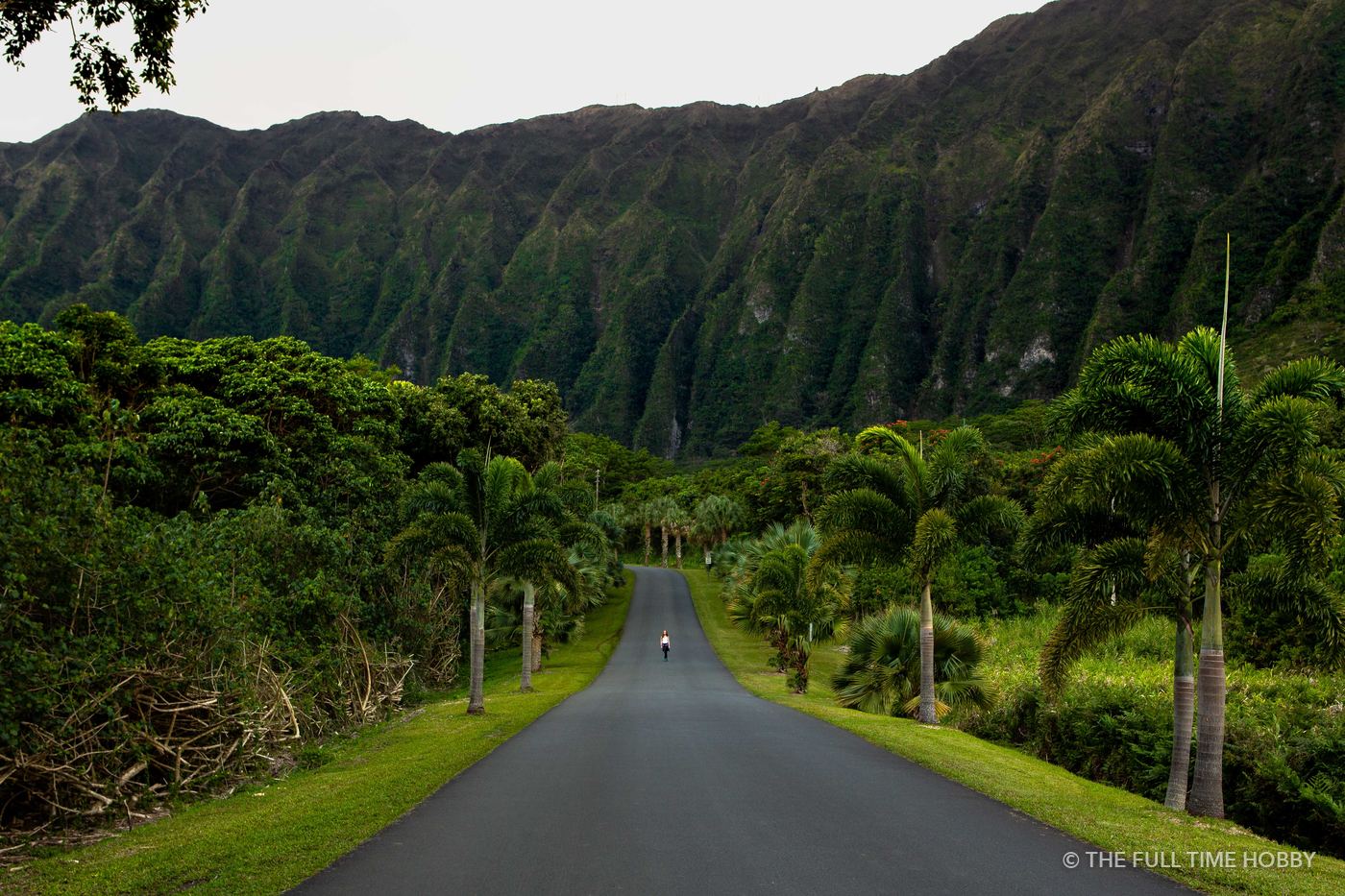 Road Into a Green Valley, Banzai Pipeline, North Shore, Oahu, Hawaii