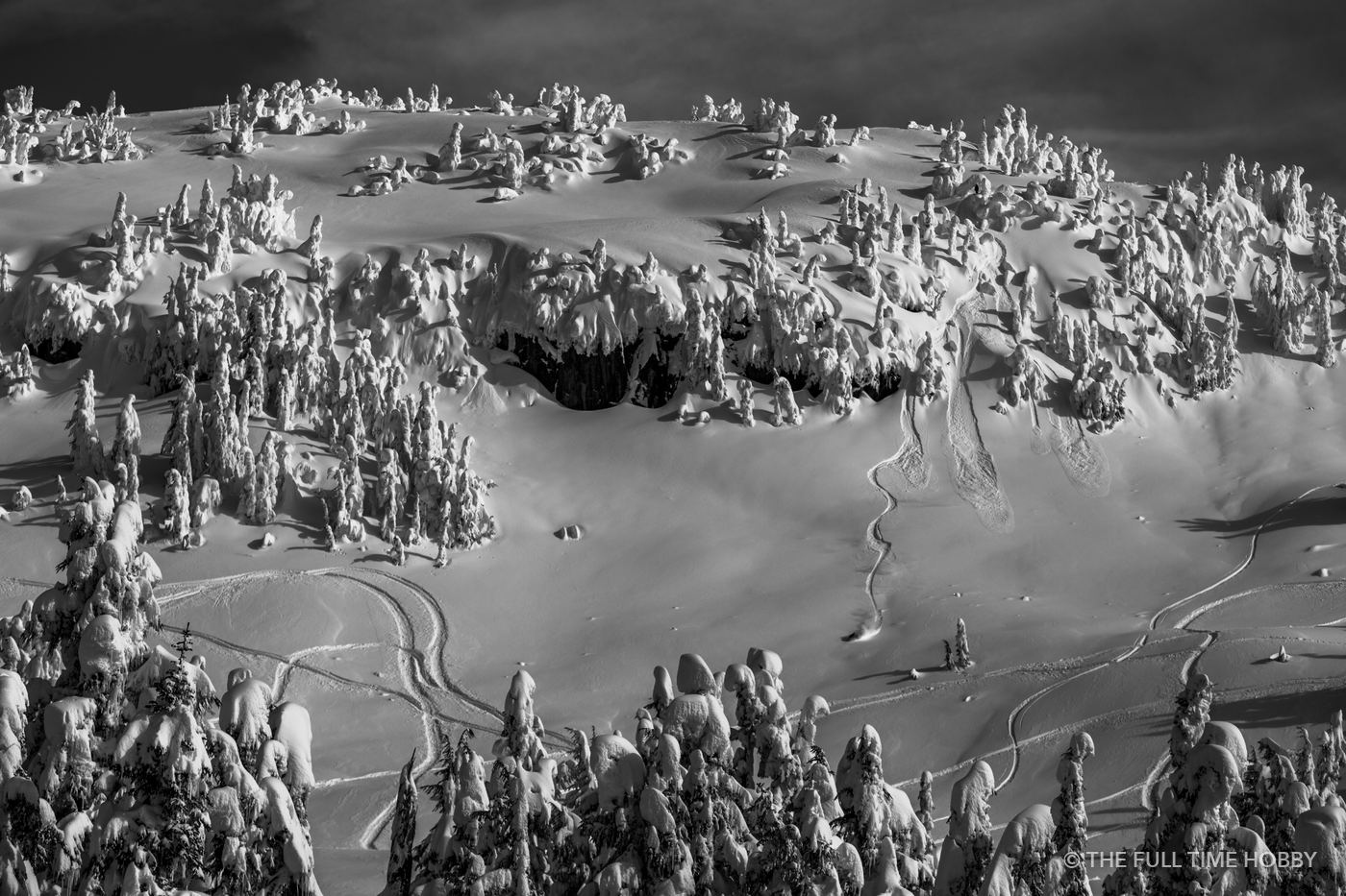 Snow Forest in Monochrome, Whistler area, BC