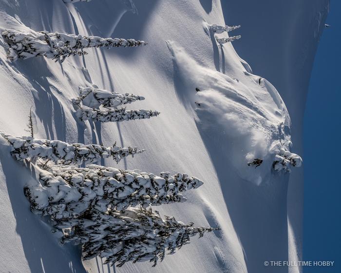 Snow-Frosted Trees From Above, Whistler area, BC