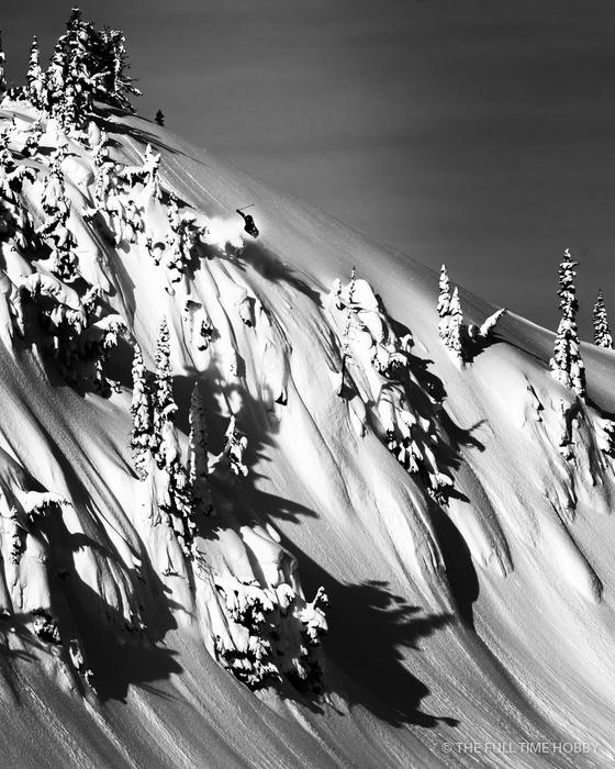 Steep Trees in Black & White, Whistler area, BC