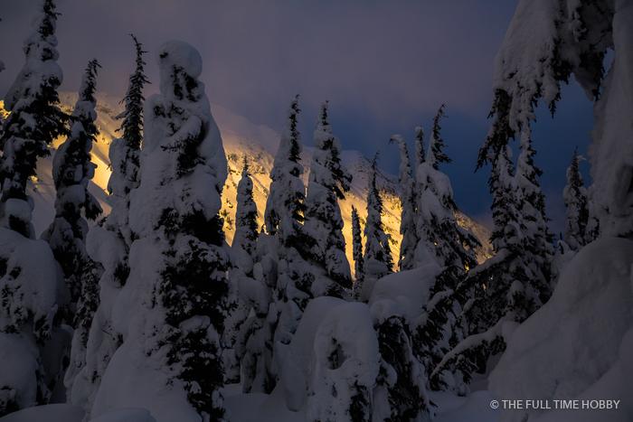 Sunset Through Snowy Trees, Duffey Lake Provincial Park, BC