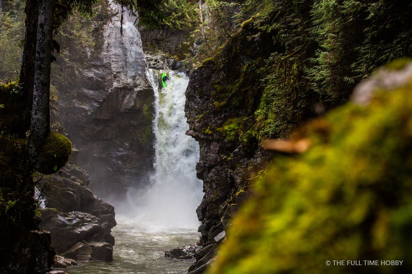 Waterfall Through the Ferns, Mamquam Falls, Squamish, BC